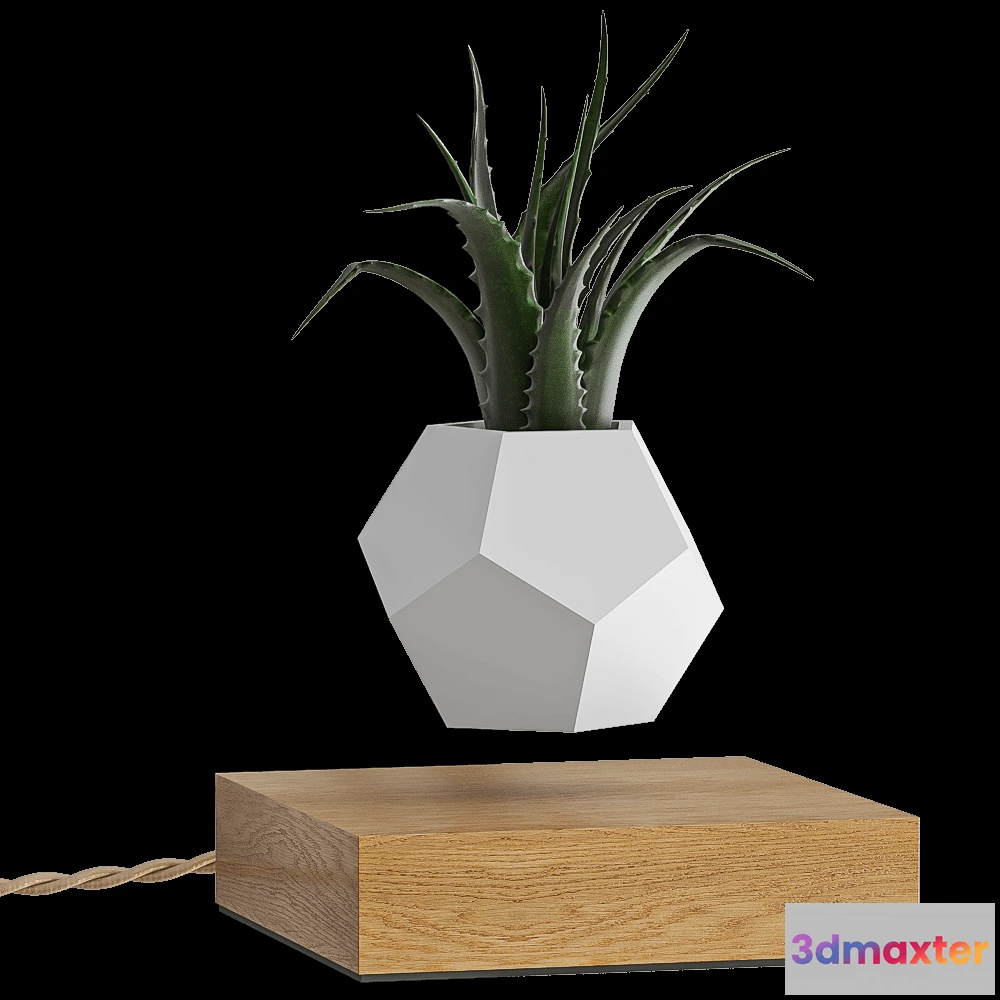 1608940 - Flyte  - Vase Planter 3D Max