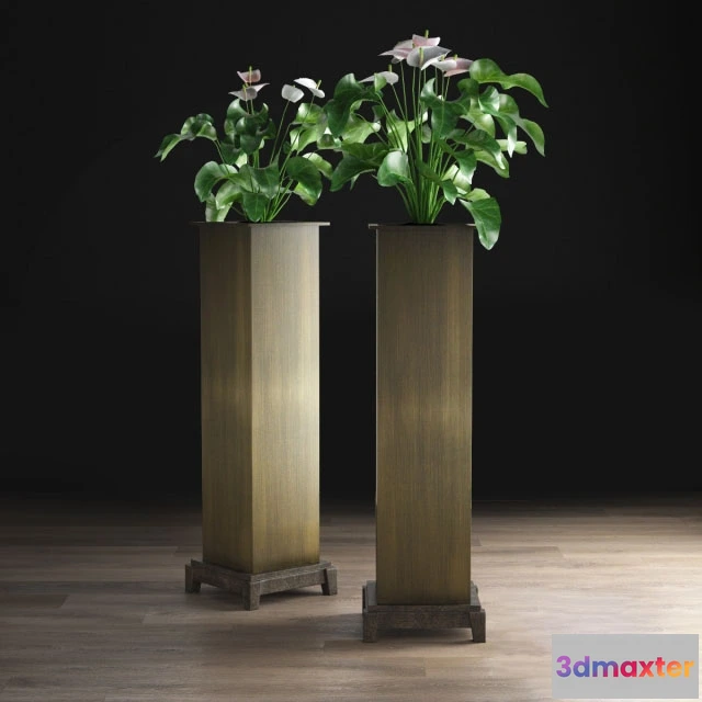 1609120 - decoration - Anthurium 3D Max