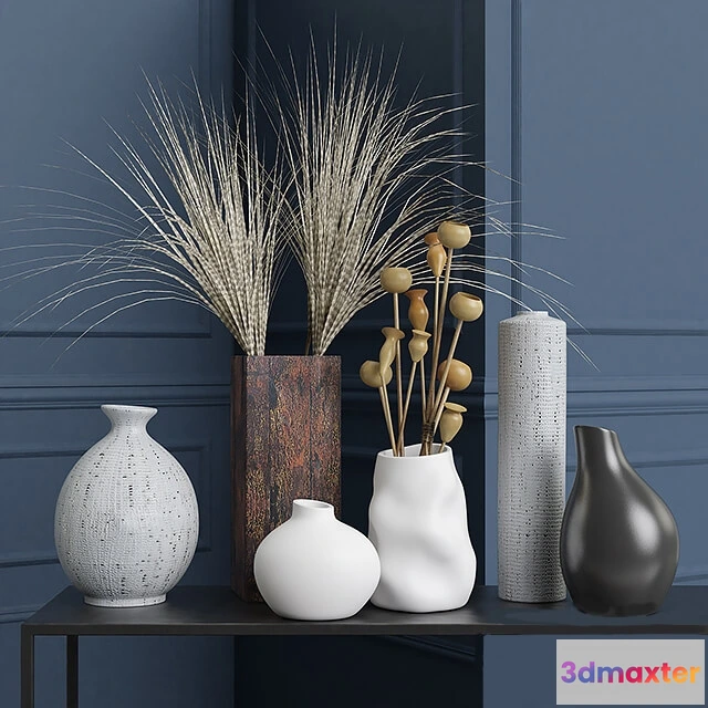 1609168 - decoration - Vases and dried flowers 3D Max