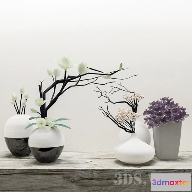 1609230 - decoration - Five decorative vases 3D Max