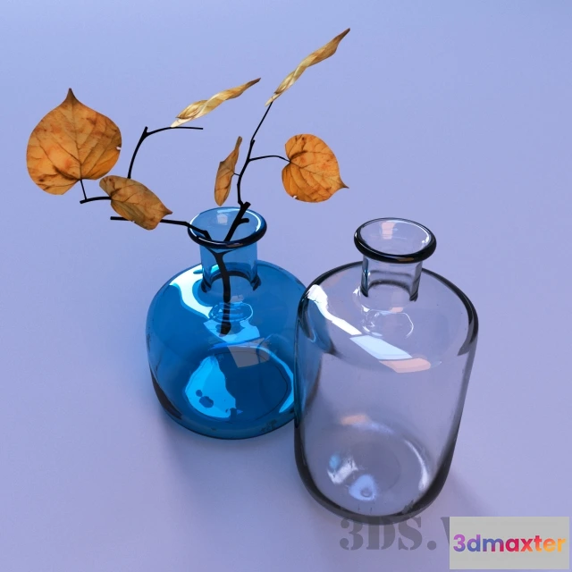 1609264 - decoration - Vases  flasks and autumn tree leaves 3D Max