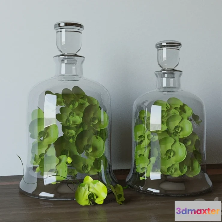 628955 - Decanters with Greens