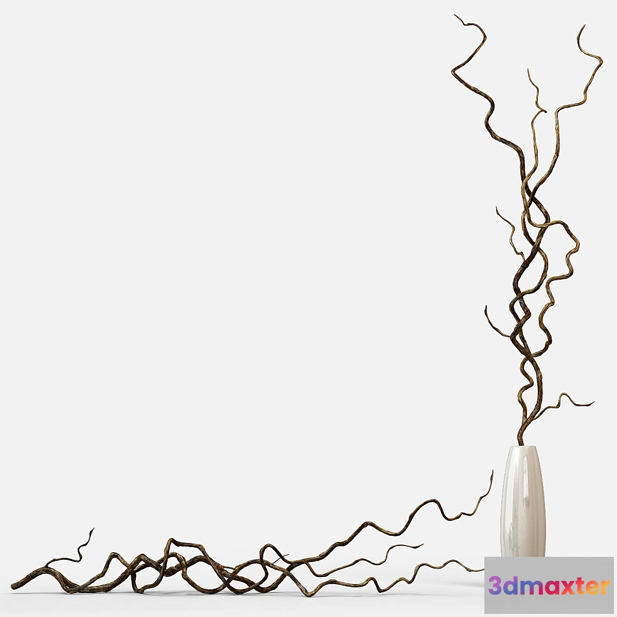 632959 - Sprigs of vines