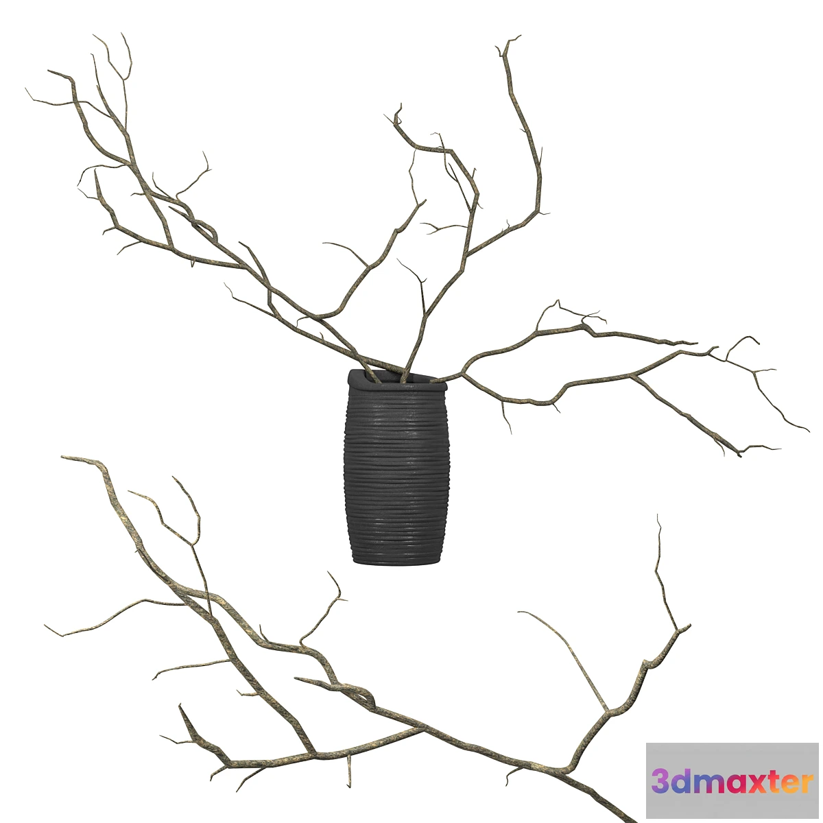 703150 - Branches in a vase - No.7