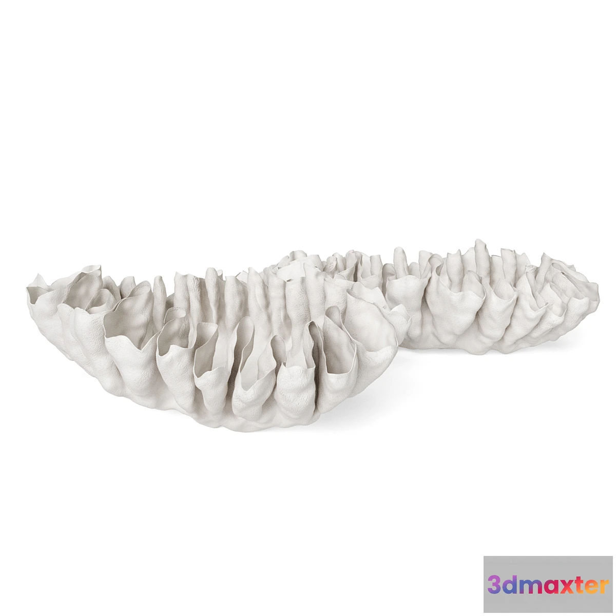 879612 - Svetlana Levadnaja Shell Vase - No.4