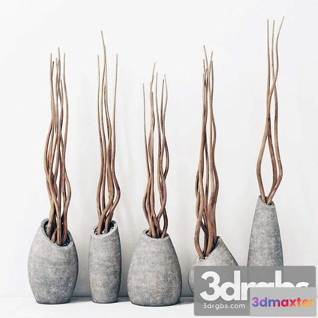 931748 - Branches In Concrete Vases Brunch Concrete Vasya