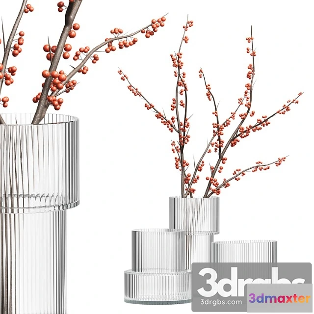 931826 - HM Glass Vases With Red Berry Branch