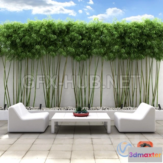 1073480 - Bamboo wall - 207037