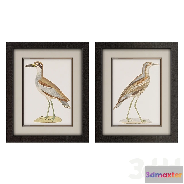 1081378 - Framed Seabird Wall Art Collection - 214935