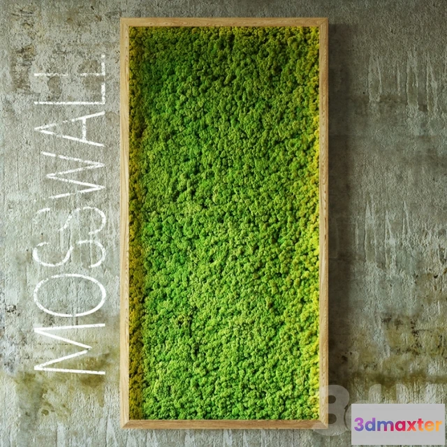 1087322 - Moss wall - 220879