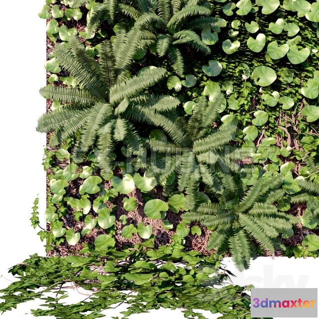 1094800 - Wall decor panel Vertical Garden - 228357
