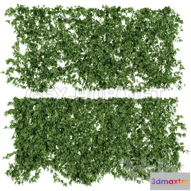 1094836 - Wall of ivy leaves v2 - 228393