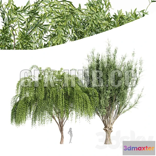 1193140 - FURNITURE 3D MODELS - 2Tree Pollard Willow Weeping Willow