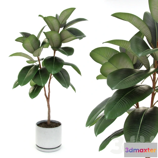 1193452 - FURNITURE 3D MODELS - 3DMAX FREE - 256