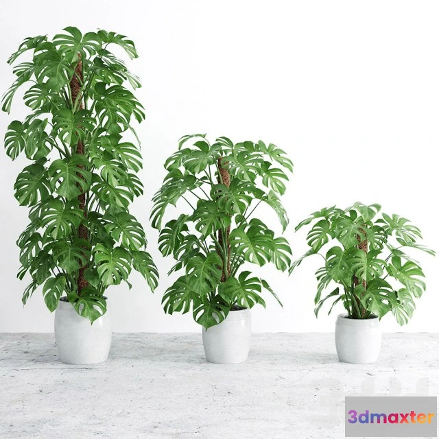 1193508 - FURNITURE 3D MODELS - 3DMAX FREE - 284