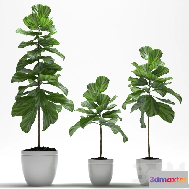 1193634 - FURNITURE 3D MODELS - 3DMAX FREE - 347