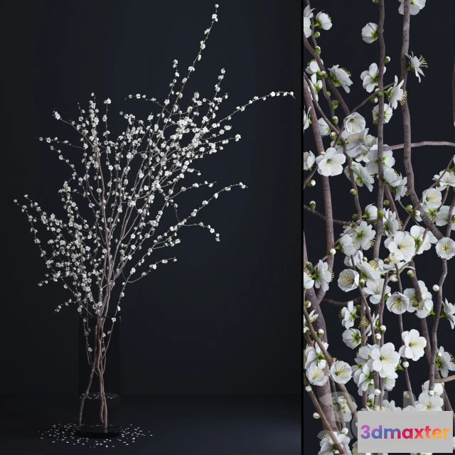 1193828 - FURNITURE 3D MODELS - 3DMAX FREE - 444