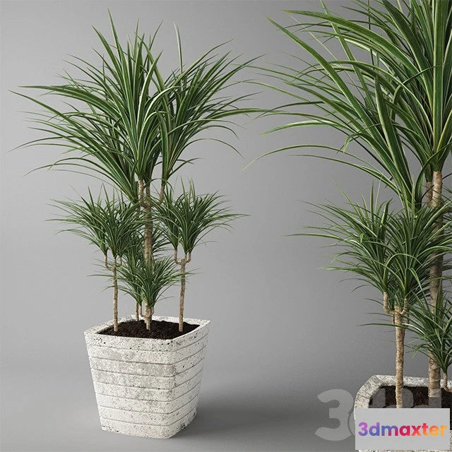 1194810 - FURNITURE 3D MODELS - 3DMAX FREE - 934