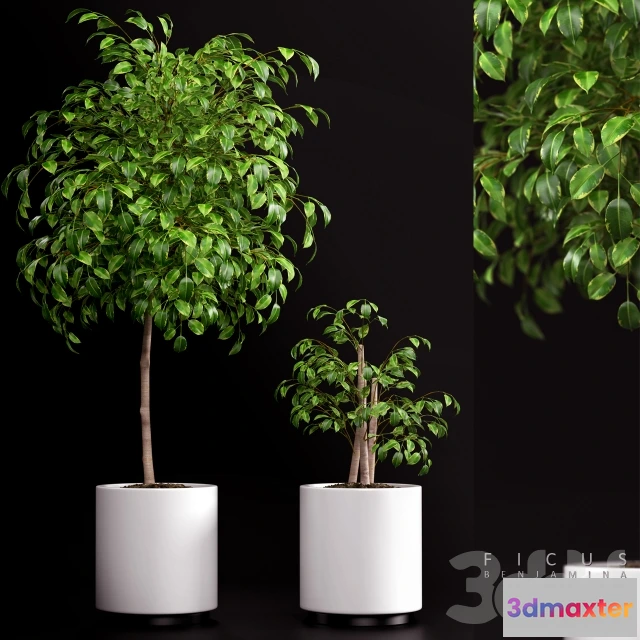 1194854 - FURNITURE 3D MODELS - 3DMAX FREE - 956