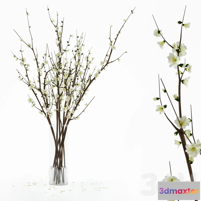 1194956 - FURNITURE 3D MODELS - 3DMAX FREE - 1007