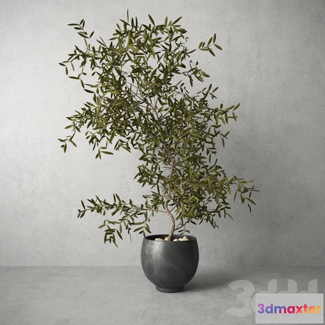 1195030 - FURNITURE 3D MODELS - 3DMAX FREE - 1044