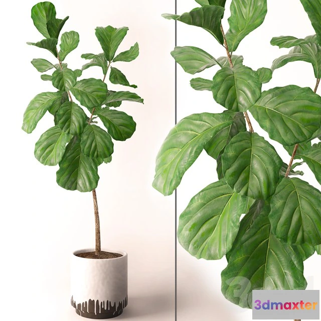 1195396 - FURNITURE 3D MODELS - 3DMAX FREE - 1226