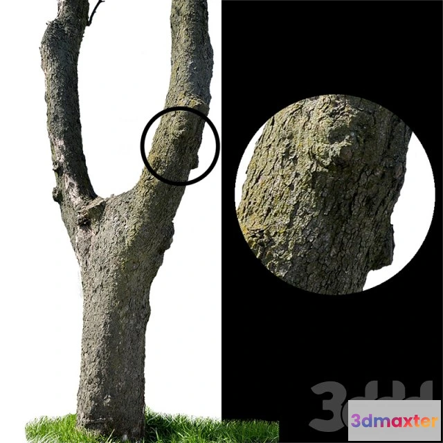 1195452 - FURNITURE 3D MODELS - 3DMAX FREE - 1254