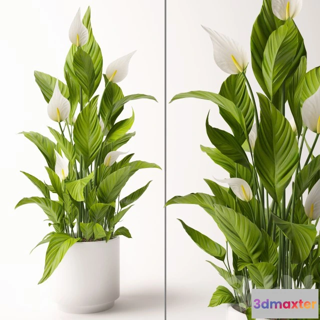 1195498 - FURNITURE 3D MODELS - 3DMAX FREE - 1277