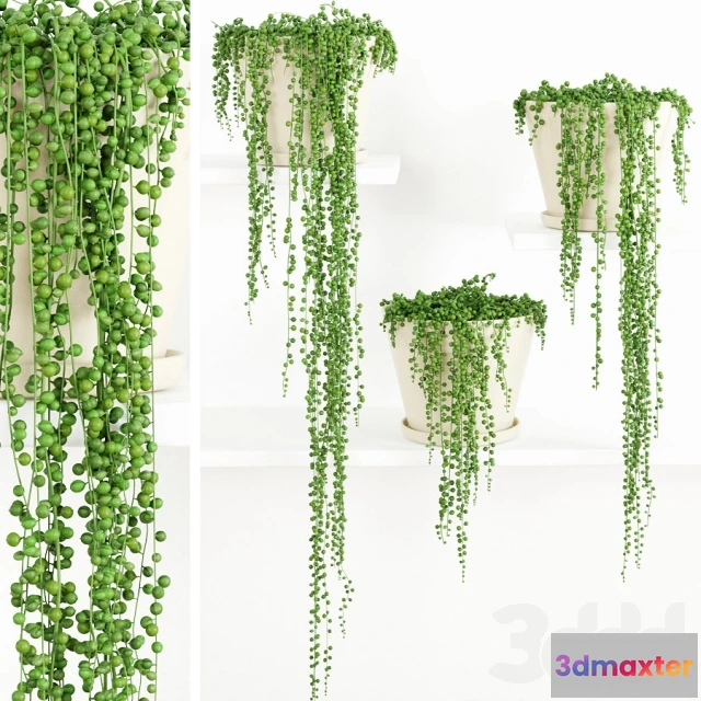 1195642 - FURNITURE 3D MODELS - 3DMAX FREE - 1349