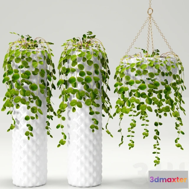 1196054 - FURNITURE 3D MODELS - 3DMAX FREE - 1555