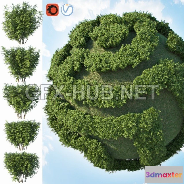 1197076 - FURNITURE 3D MODELS - Acacia (Set of 2 Bushes)