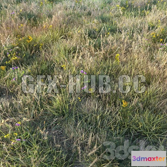 1197622 - FURNITURE 3D MODELS - Autumn Grass