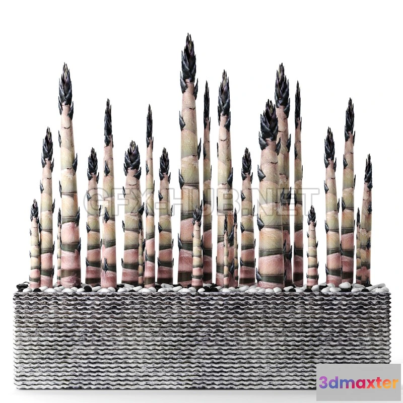 1197732 - FURNITURE 3D MODELS - Bamboo Trees