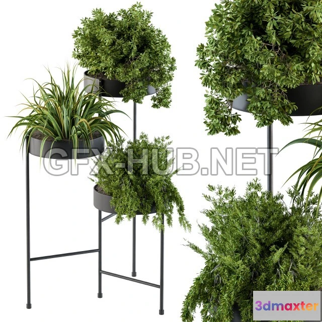 1198150 - FURNITURE 3D MODELS - Black round plant box