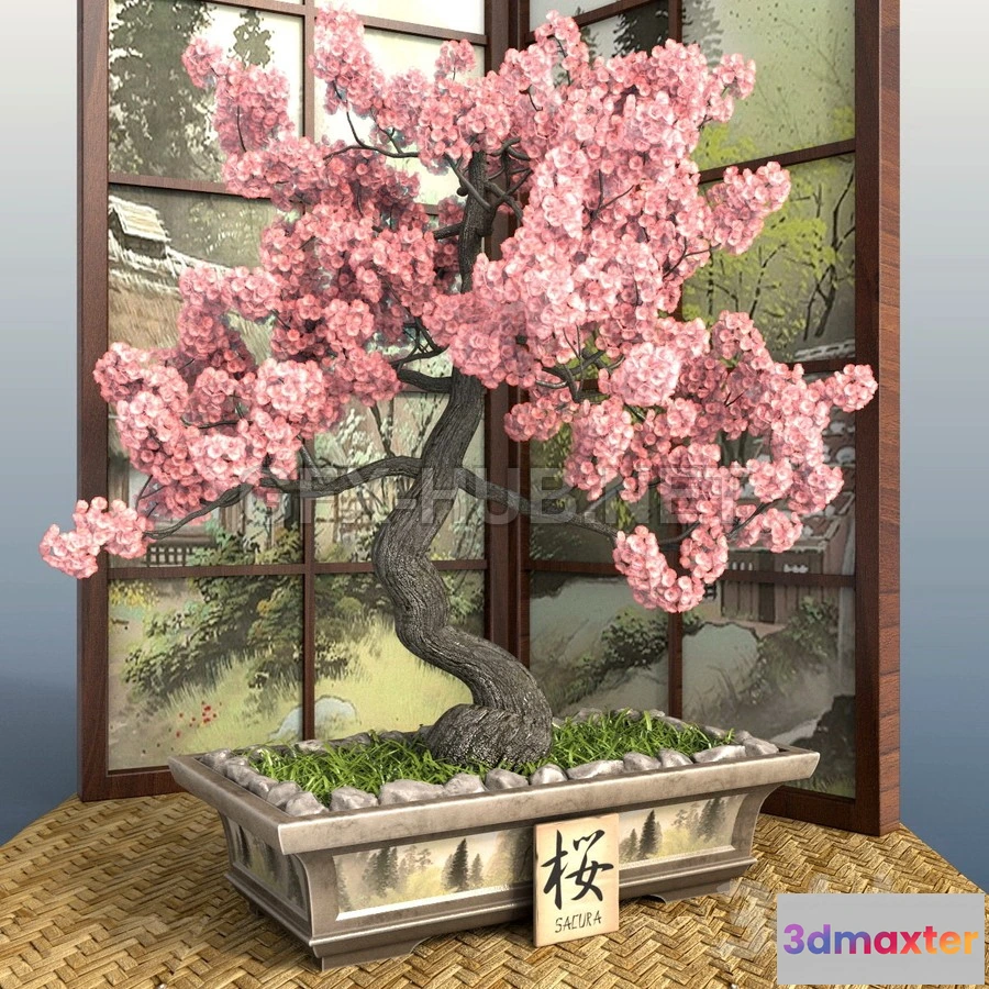 1198272 - FURNITURE 3D MODELS - Bonsai 1 Sakura