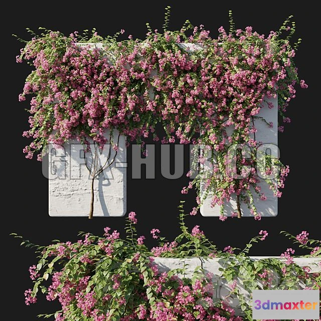 1198318 - FURNITURE 3D MODELS - Bougainvillea 02