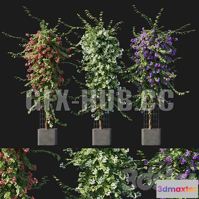 1198320 - FURNITURE 3D MODELS - Bougainvillea 09