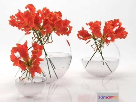 1198478 - FURNITURE 3D MODELS - Bubbles