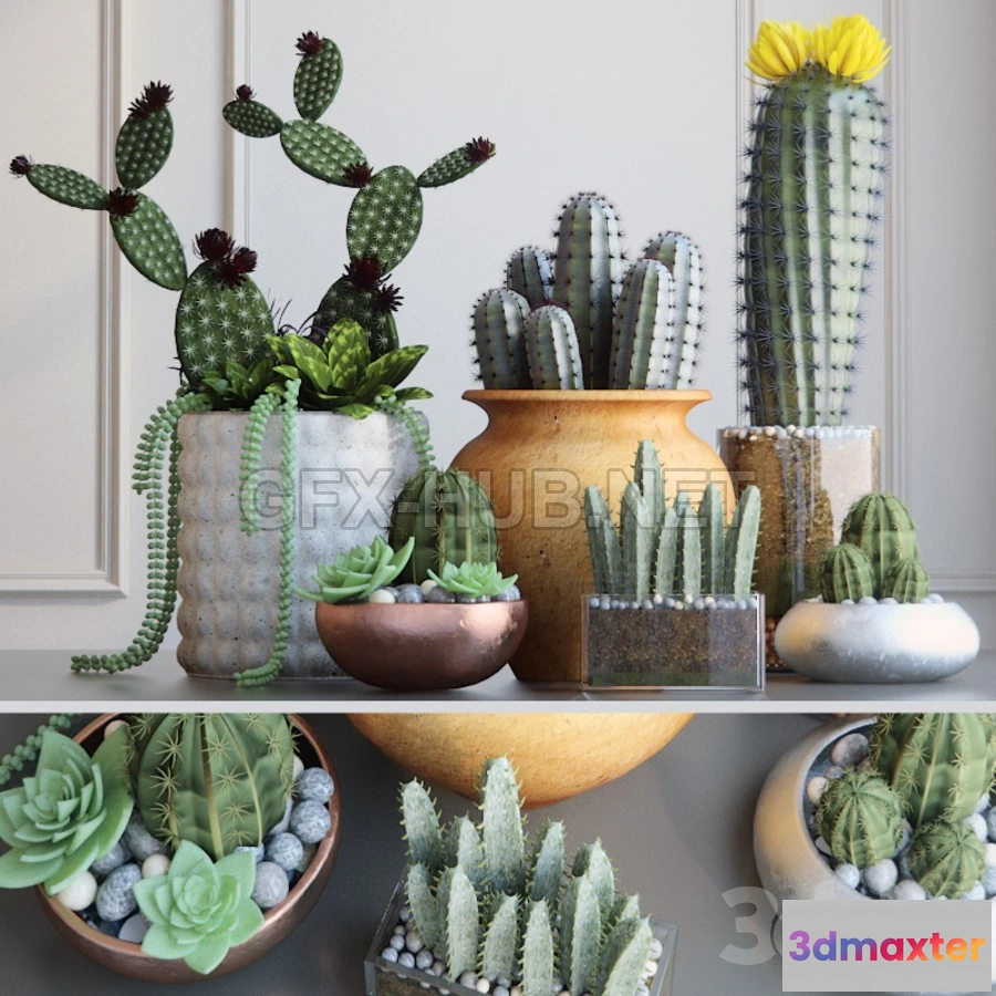 1198560 - FURNITURE 3D MODELS - Cacti