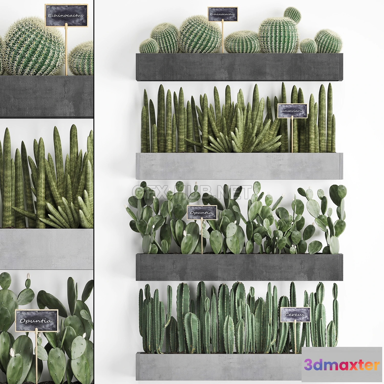 1198562 - FURNITURE 3D MODELS - Cactus set wall decor vertical garden 43