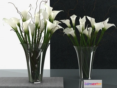 1198598 - FURNITURE 3D MODELS - Calla Lily High