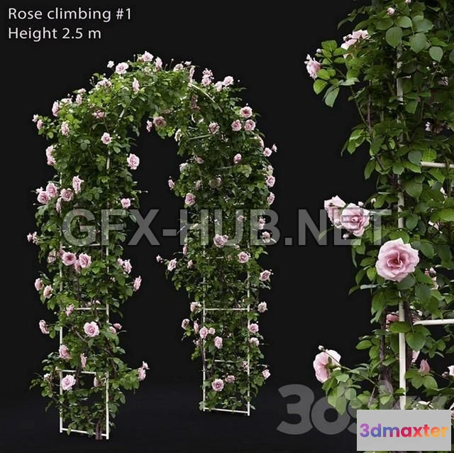 1199282 - FURNITURE 3D MODELS - Climbing Rose # 1