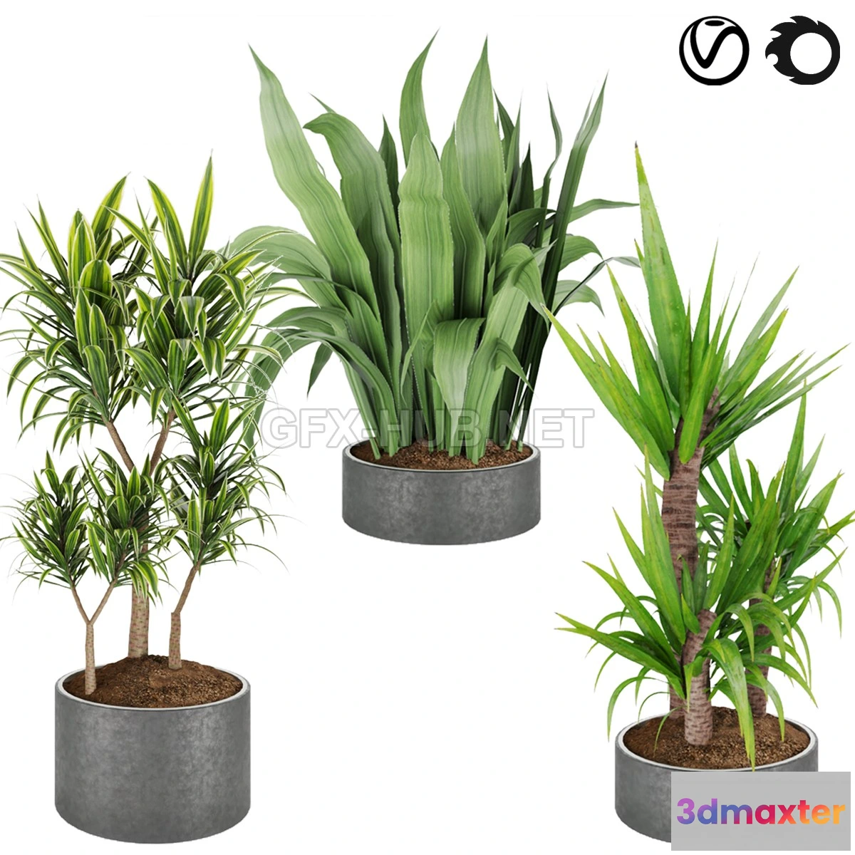 1199412 - FURNITURE 3D MODELS - Collection plant vol 6