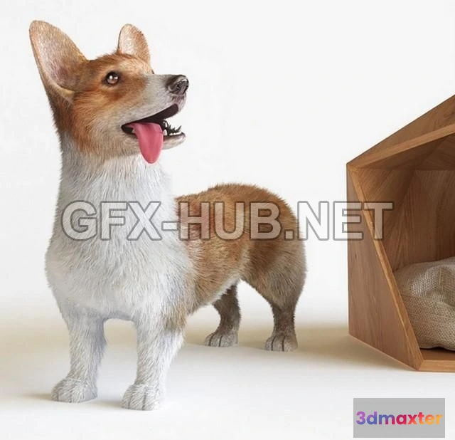 1199484 - FURNITURE 3D MODELS - Corgi
