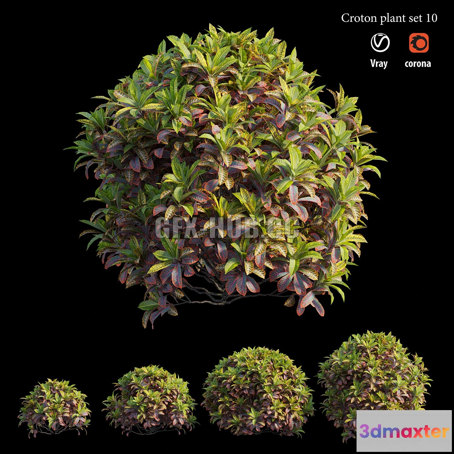 1199566 - FURNITURE 3D MODELS - Croton Plant Set 10