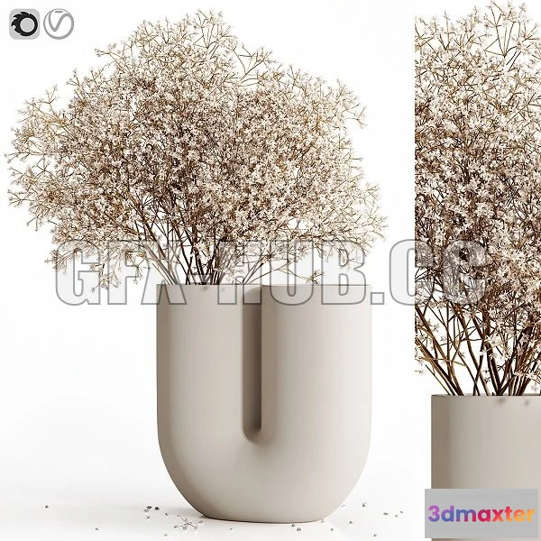 1200236 - FURNITURE 3D MODELS - Dry Flowers 9