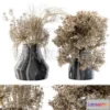 1200244 - FURNITURE 3D MODELS - Dry plants 14