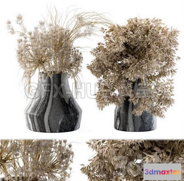 1200244 - FURNITURE 3D MODELS - Dry plants 14