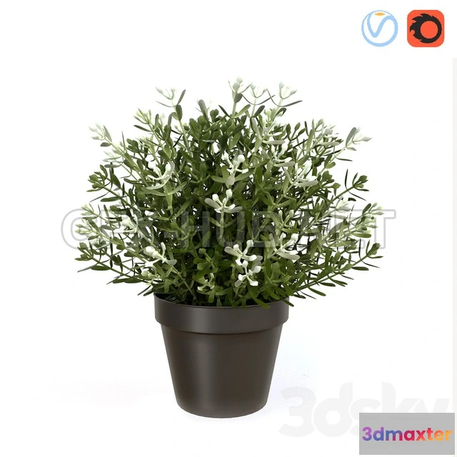 1200488 - FURNITURE 3D MODELS - Fake Thyme