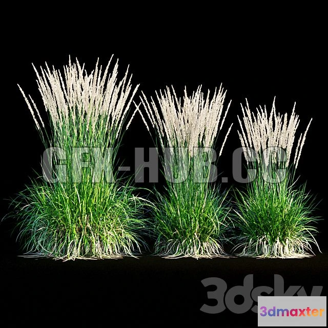 1200528 - FURNITURE 3D MODELS - Feather Reed Grass